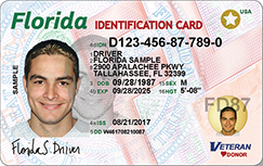 lost my drivers license florida